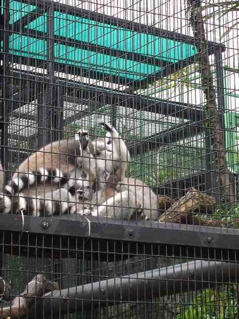 n_HongKong mei 2008 028.jpg